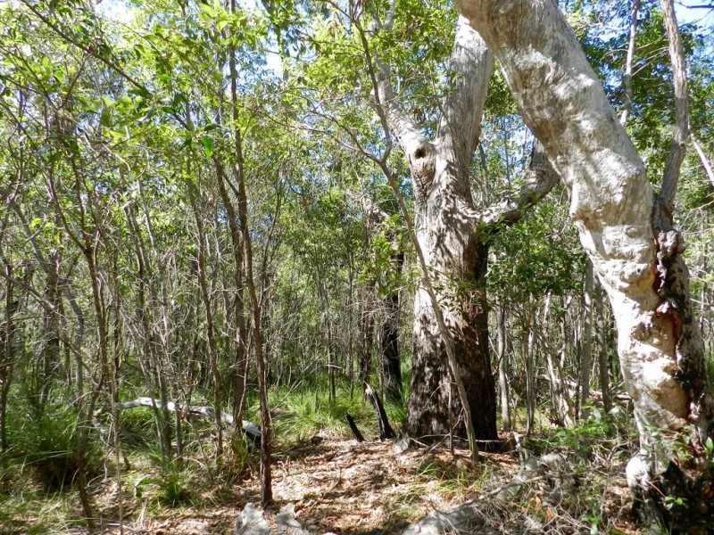 Lot 6 Bootmaker Drive, Round Hill QLD 4677