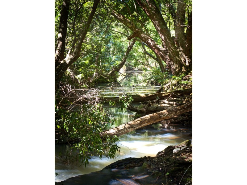 526 CREEVEY DRIVE, Captain Creek QLD 4677