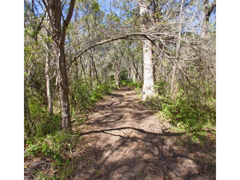 Lot 219 Rafting Ground Road, Agnes Water QLD 4677