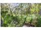 Lot 219 Rafting Ground Road, Agnes Water QLD 4677