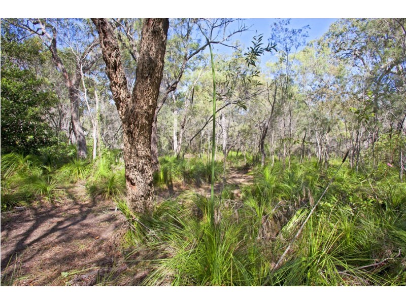 Lot 219 Rafting Ground Road, Agnes Water QLD 4677