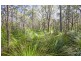 Lot 219 Rafting Ground Road, Agnes Water QLD 4677