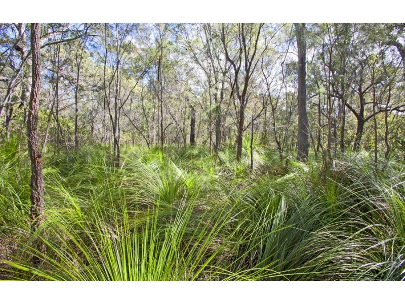 Lot 219 Rafting Ground Road, Agnes Water QLD 4677