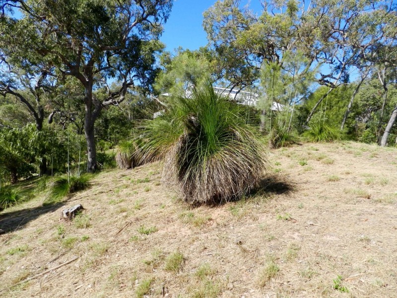 Lot 10 Bloodwood Ave Nth Sunrise, Agnes Water QLD 4677