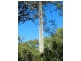 Lot 10 Bloodwood Ave Nth Sunrise, Agnes Water QLD 4677