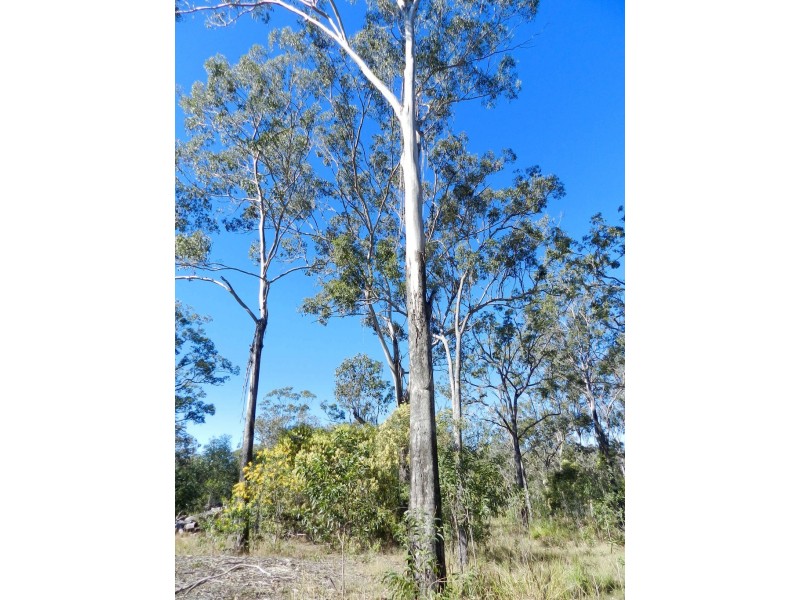 Lot 188 Ballantyne Rd, Captain Creek QLD 4677