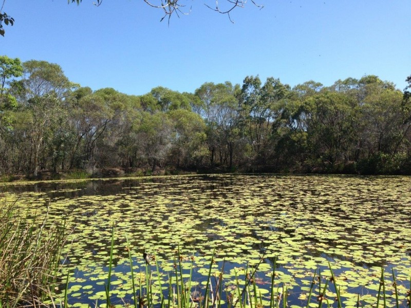 2773 Round Hill Road, Agnes Water QLD 4677