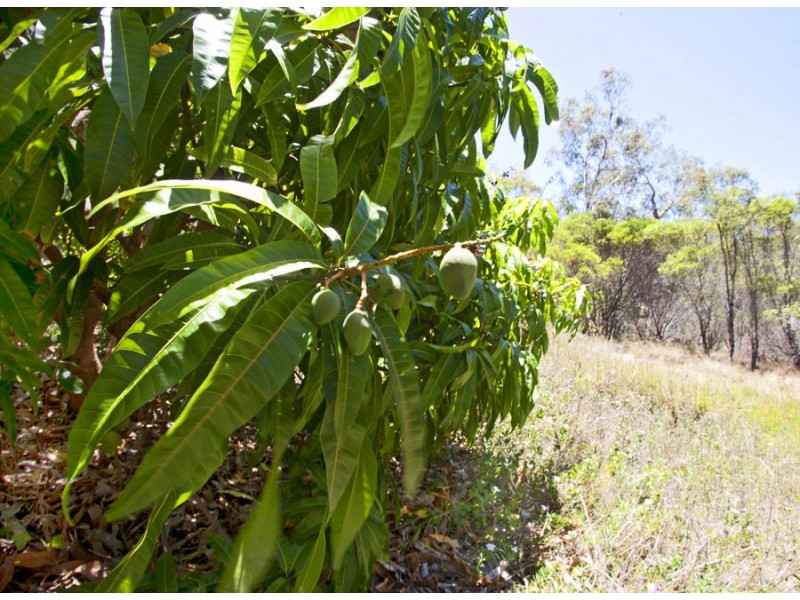 2773 Round Hill Road, Agnes Water QLD 4677