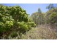 2773 Round Hill Road, Agnes Water QLD 4677