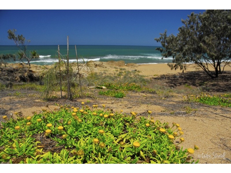 Lot 119 – 1771 Springs Road Sunrise, Agnes Water QLD 4677