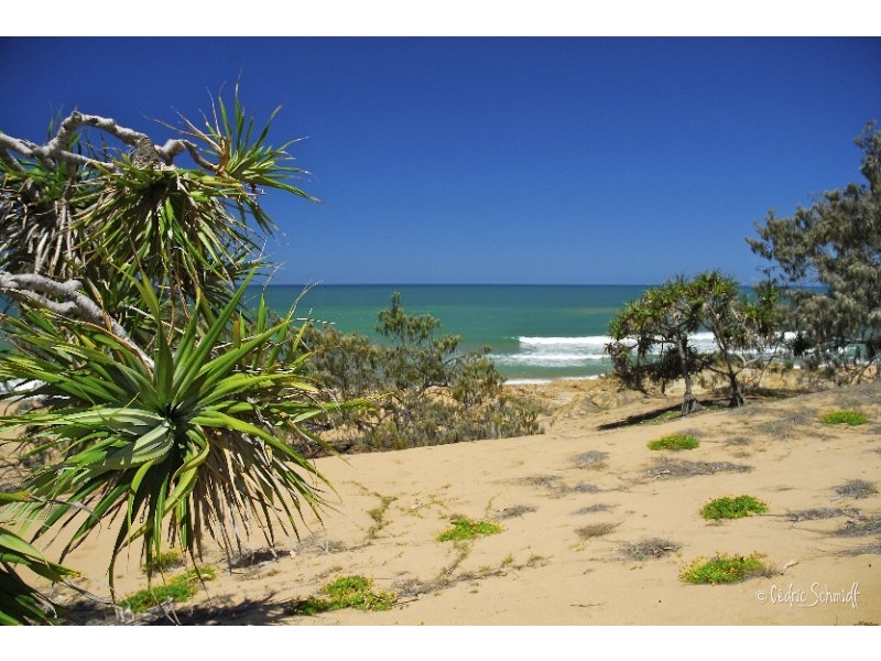 Lot 119 – 1771 Springs Road Sunrise, Agnes Water QLD 4677