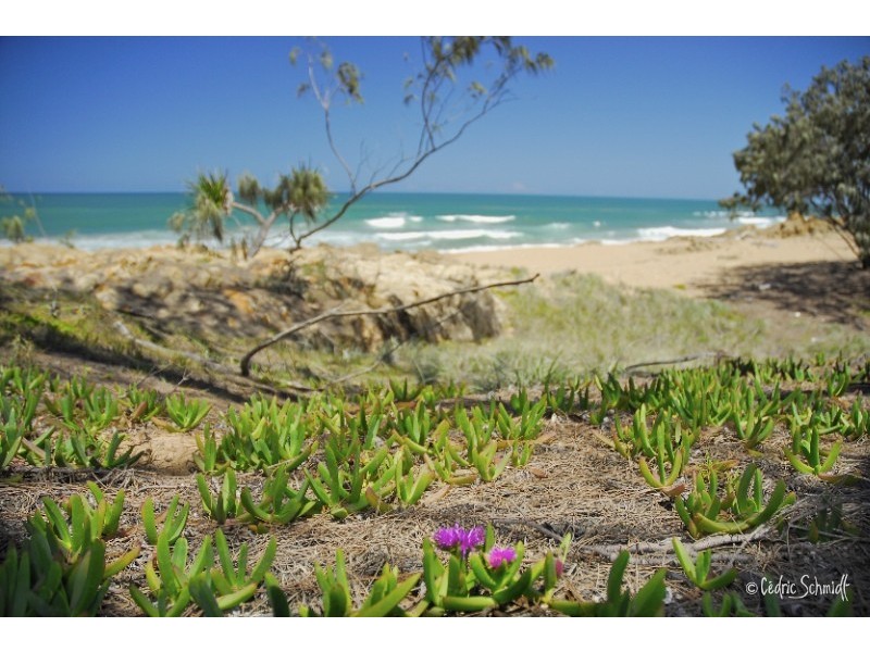Lot 119 – 1771 Springs Road Sunrise, Agnes Water QLD 4677