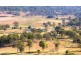 537 L4 Hallorans Road, Mount Tom QLD 4677