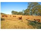 537 L4 Hallorans Road, Mount Tom QLD 4677