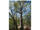 Lot 21 Lady Elliot Drive, Agnes Water QLD 4677