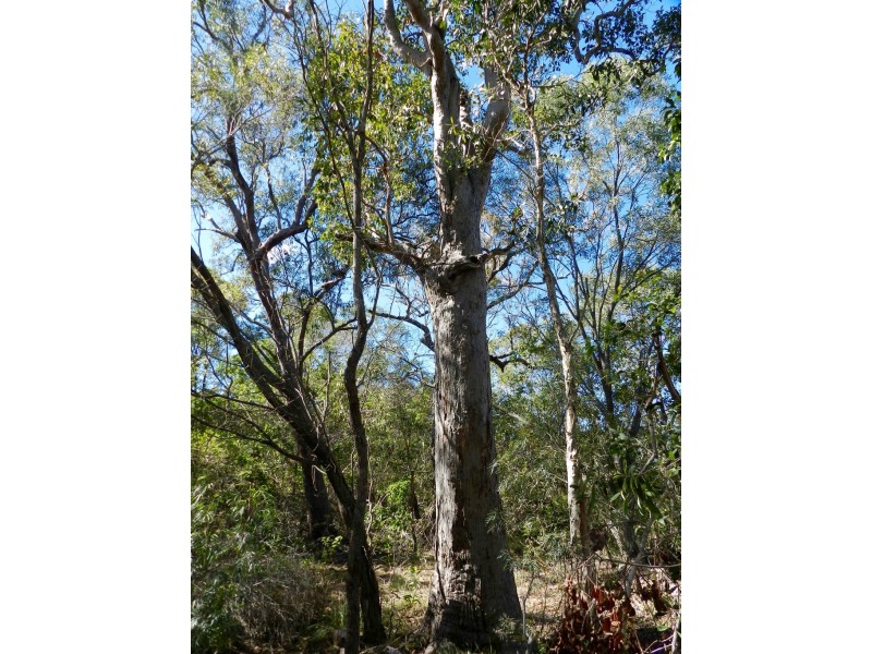 Lot 21 Lady Elliot Drive, Agnes Water QLD 4677