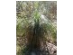 Lot 21 Lady Elliot Drive, Agnes Water QLD 4677