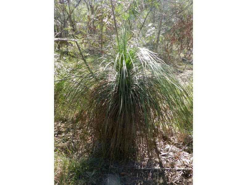 Lot 21 Lady Elliot Drive, Agnes Water QLD 4677