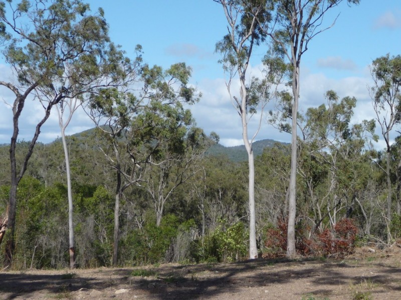 1305 TABLELAND ROAD, Mount Maria QLD 4674