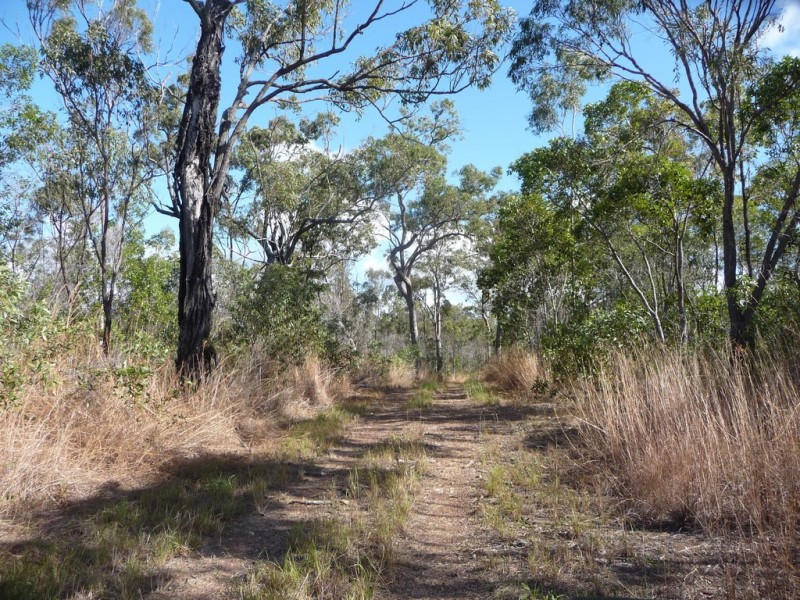 1305 TABLELAND ROAD, Mount Maria QLD 4674