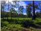 lot 41 Creevey Drive, Captain Creek QLD 4677