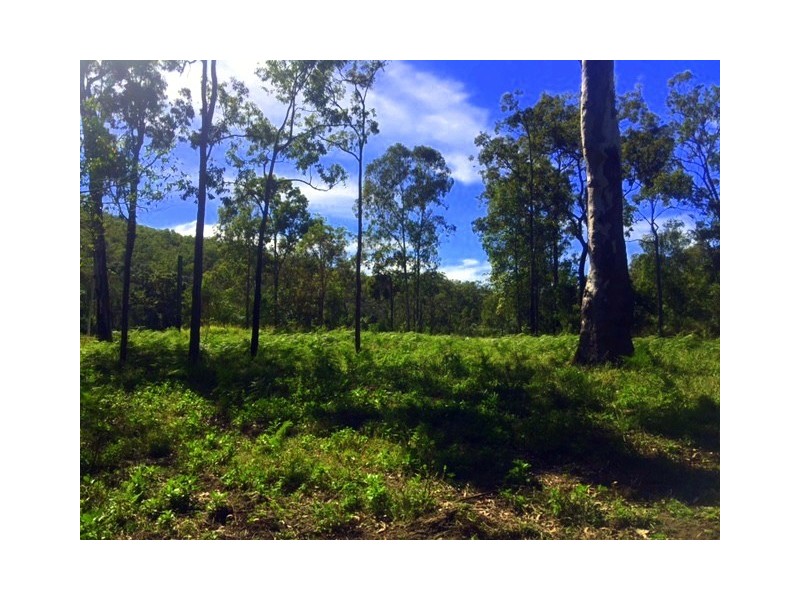 lot 41 Creevey Drive, Captain Creek QLD 4677