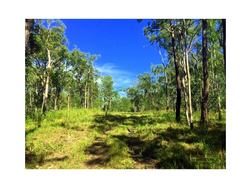 lot 41 Creevey Drive, Captain Creek QLD 4677
