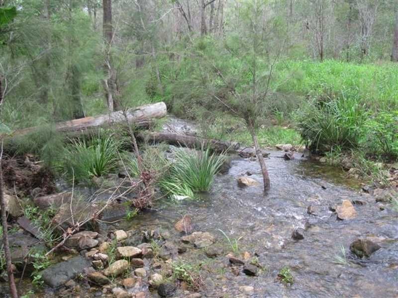 lot 41 Creevey Drive, Captain Creek QLD 4677