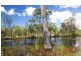 213 Lady Elliot Drive, Agnes Water QLD 4677