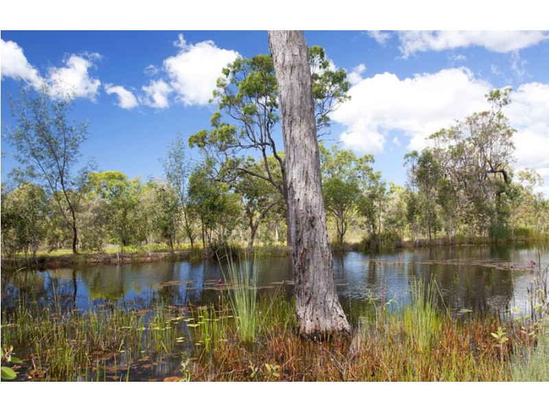 213 Lady Elliot Drive, Agnes Water QLD 4677