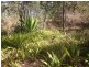 Rosedale QLD 4674
