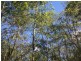 Rosedale QLD 4674