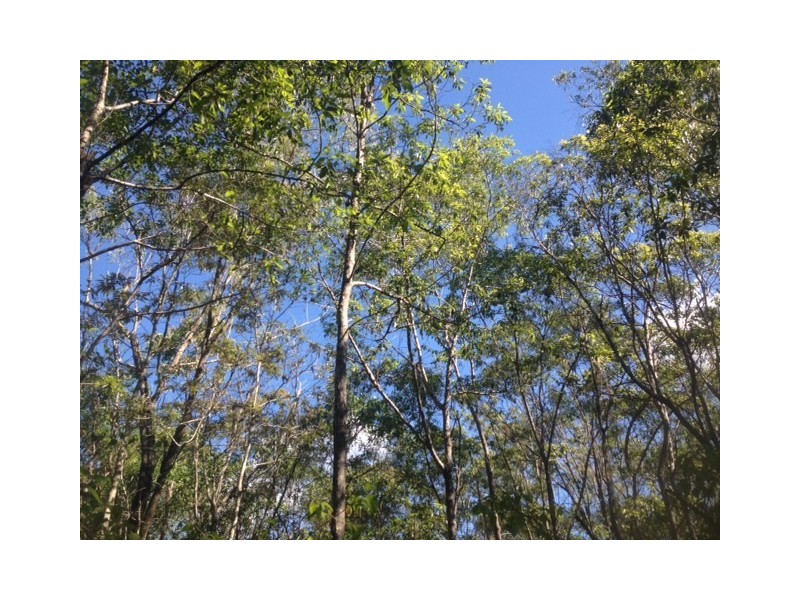 Rosedale QLD 4674