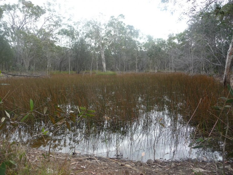 No 86 / L381 Whyte Crescent, Agnes Water QLD 4677