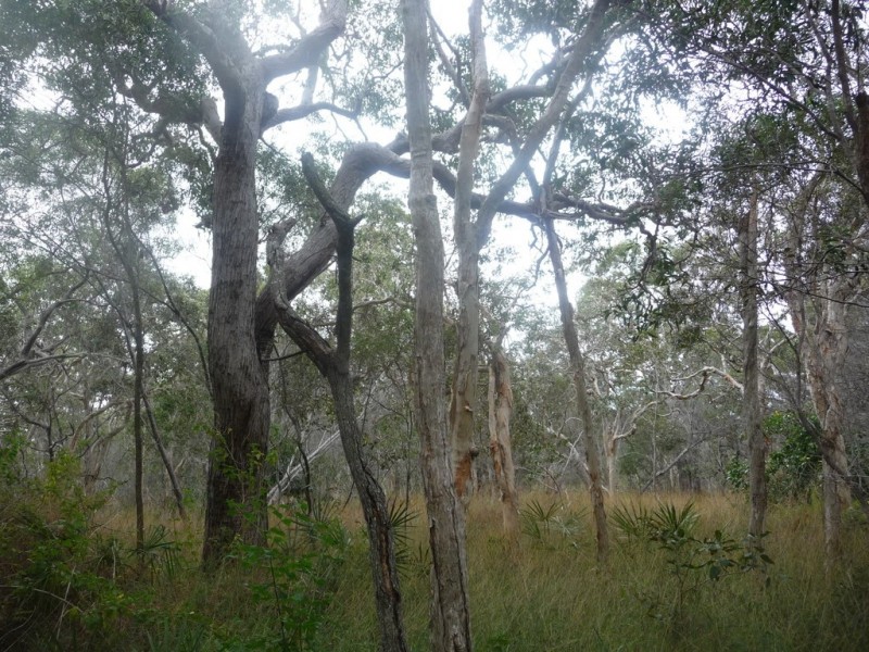 No 86 / L381 Whyte Crescent, Agnes Water QLD 4677