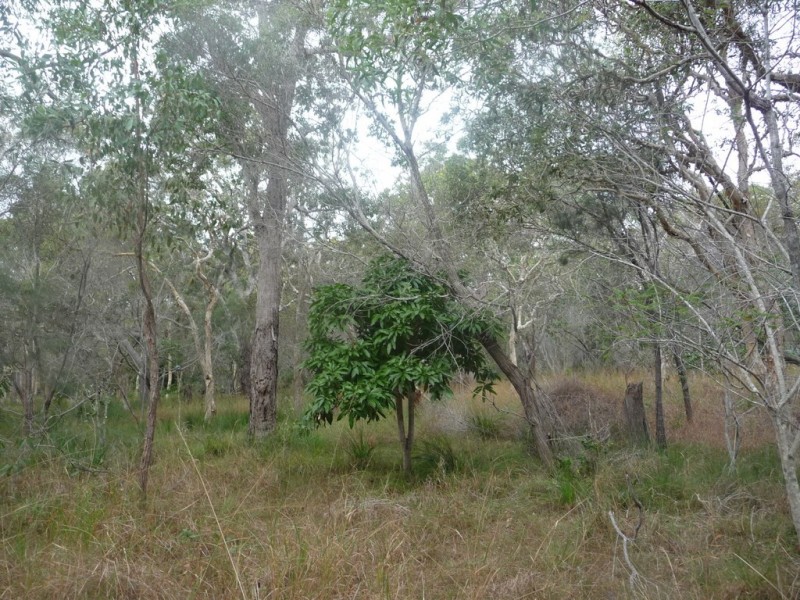 No 86 / L381 Whyte Crescent, Agnes Water QLD 4677