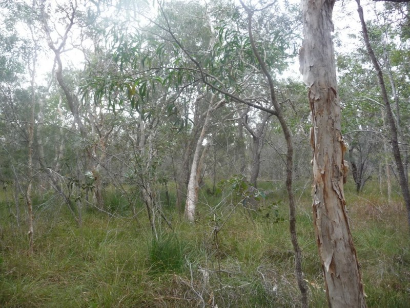 No 86 / L381 Whyte Crescent, Agnes Water QLD 4677