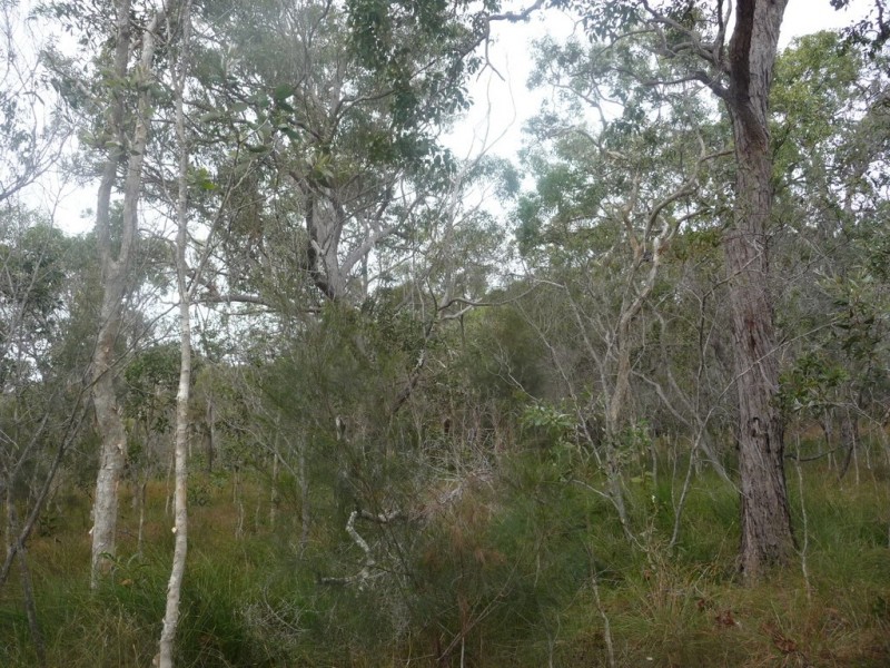 No 86 / L381 Whyte Crescent, Agnes Water QLD 4677