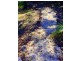 196 Allingham Way, Agnes Water QLD 4677