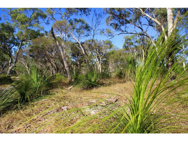 Agnes Water QLD 4677