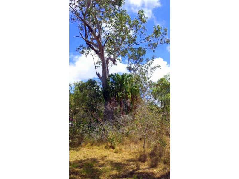 Agnes Water QLD 4677