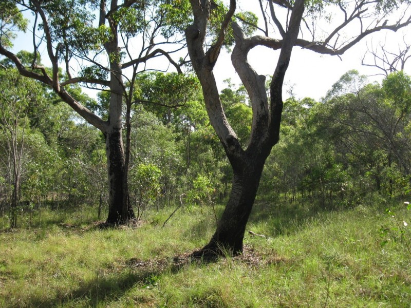 Agnes Water QLD 4677