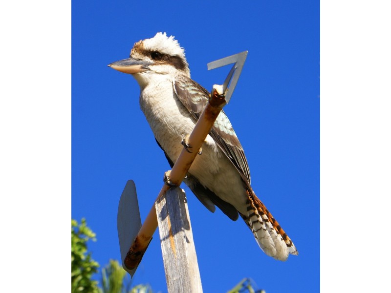 Agnes Water QLD 4677