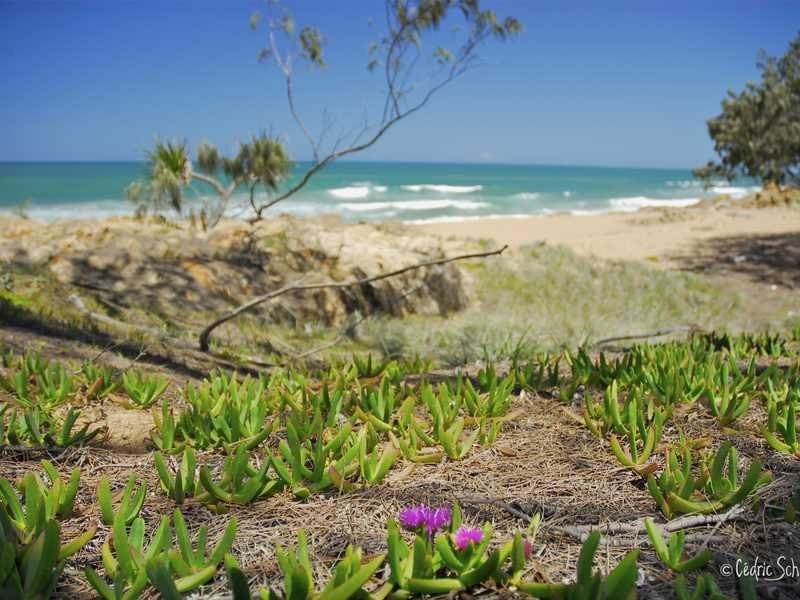 Agnes Water QLD 4677