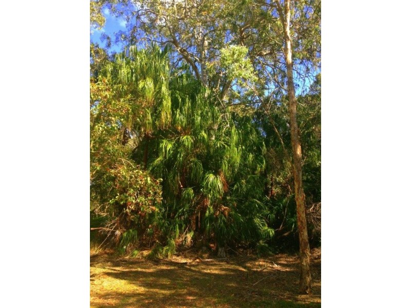 Agnes Water QLD 4677