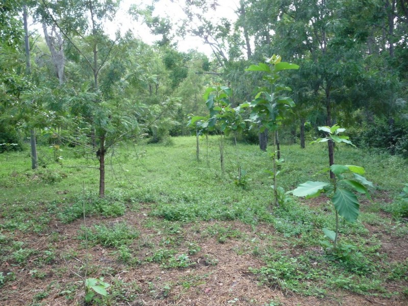 1392 John Clifford Way, Lowmead QLD 4676