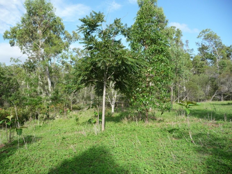 1392 John Clifford Way, Lowmead QLD 4676