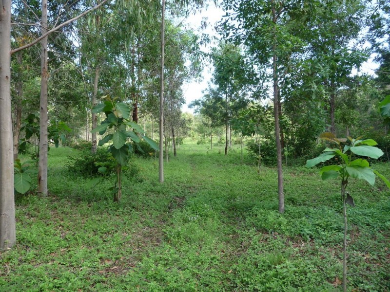 1392 John Clifford Way, Lowmead QLD 4676