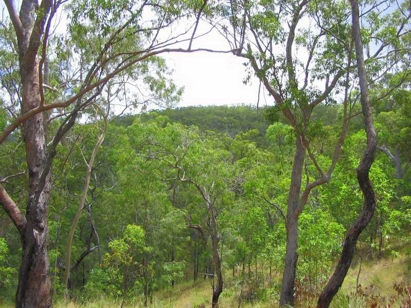 Captain Creek QLD 4677