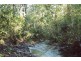 880 Murphy Road, Captain Creek QLD 4677